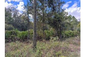 12TH AVE, DELAND, FL 32724 - MLS#MFRV4945764