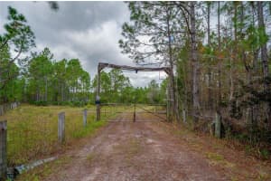 245 CARTER TRAIL, ORMOND BEACH, FL 32174 - MLS#MFRV4945766