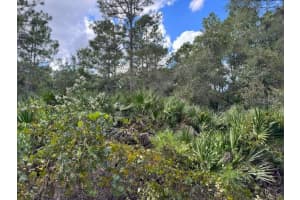 12TH AVE, DELAND, FL 32724 - MLS#MFRV4945773