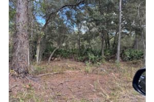 12TH AVE, DELAND, FL 32724 - MLS#MFRV4945777