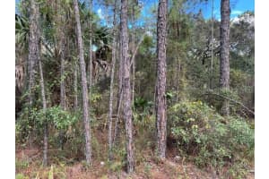 12TH AVE, DELAND, FL 32724 - MLS#MFRV4945779