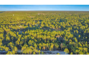 TURKEY ROOST RD, DELAND, FL 32724 Sold 02/03/26