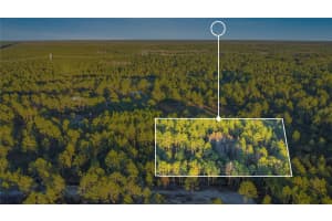 TURKEY ROOST RD, DELAND, FL 32724 Sold 02/03/26