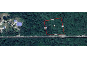 MAYTOWN RD., OAK HILL, FL 32759 - MLS#MFRV4945848