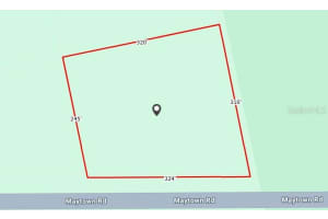 MAYTOWN RD., OAK HILL, FL 32759 - MLS#MFRV4945848