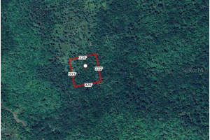 NO STREET, OAK HILL, FL 32759 - MLS#MFRV4945850