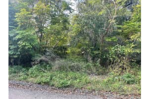 131 LAKE MAMIE ROAD, DELAND, FL 32724 - MLS#MFRV4946112