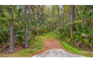 1100 MAYTOWN ROAD, OAK HILL, FL 32759 - MLS#MFRV4946115