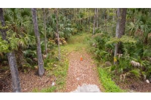 1100 MAYTOWN ROAD, OAK HILL, FL 32759 - MLS#MFRV4946115