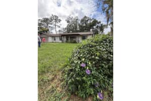 40907 3RD AVENUE, UMATILLA, FL 32784 - MLS#MFRV4946124