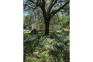 14439 Mascotte Empire Rd, GROVELAND 14439 Mascotte Empire Rd, GROVELAND