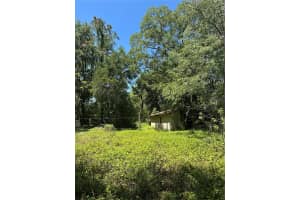 14439 MASCOTTE EMPIRE ROAD, GROVELAND, FL 34736 - MLS#MFRV4946184