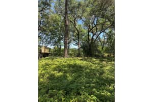 14439 MASCOTTE EMPIRE ROAD, GROVELAND, FL 34736 - MLS#MFRV4946184