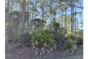 1720 10TH, DELAND, FL 32724 Sold 02/18/26