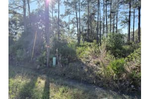 1720 10TH, DELAND, FL 32724 Sold 02/18/26