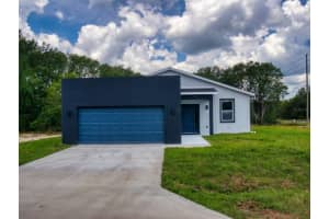 2 GUAVA LANE, OCKLAWAHA, FL 32179 - MLS#MFRV4946235