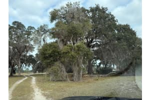 29605 FULLERVILLE ROAD, DELAND, FL 32720 - MLS#MFRV4946393