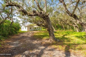 4770 PENINSULA DRIVE, PONCE INLET, FL 32127 - MLS#MFRV4946412