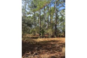 CR-450, UMATILLA, FL 32784 - MLS#MFRV4946435