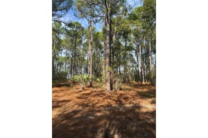 CR-450, UMATILLA, FL 32784 - MLS#MFRV4946435