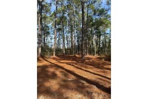 CR-450, UMATILLA, FL 32784 - MLS#MFRV4946435
