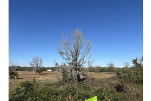 TOMOKA FARMS RD, PORT ORANGE, FL 32128 - MLS#MFRV4946509