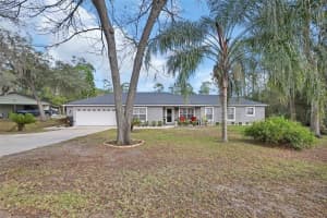 43746 SUNSET DRIVE, PAISLEY, FL 32767 - MLS#MFRV4946554