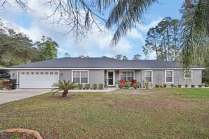 43746 SUNSET DRIVE, PAISLEY, FL 32767 - MLS#MFRV4946554