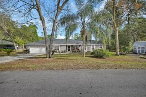 43746 SUNSET DRIVE, PAISLEY, FL 32767 - MLS#MFRV4946554