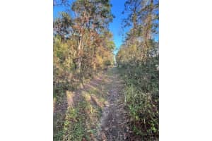 UNIVERSITY HIGHLANDS/ DELAND CROSSINGS, DELAND, FL 32724 - MLS#MFRV4946578