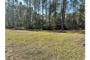 1730 BERRYBUSH STREET, BUNNELL, FL 32110 - MLS#MFRV4946596