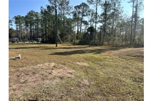 1730 BERRYBUSH STREET, BUNNELL, FL 32110 - MLS#MFRV4946596