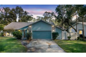 317 Oak Fern Cir, ORMOND BEACH