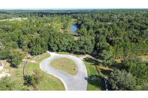 Lot 6 TREE FROG LANE, EUSTIS, FL 32736 - MLS#MFRV4946638
