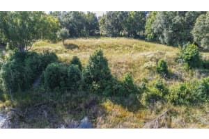 Lot 6 TREE FROG LANE, EUSTIS, FL 32736 - MLS#MFRV4946638