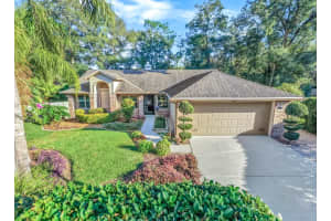 705 Falling Leaf Ct, DELAND