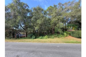 1482 COVERED BRIDGE DRIVE, DELAND, FL 32724 - MLS#MFRV4946778
