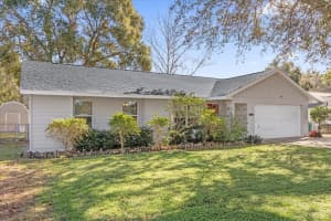 411 CHERRY TREE STREET, EUSTIS, FL 32726 - MLS#MFRV4946894