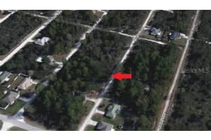 247 BRANT AVENUE, SEBRING, FL 33870 - MLS#MFRV4946966
