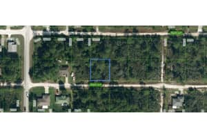 247 BRANT AVENUE, SEBRING, FL 33870 - MLS#MFRV4946966
