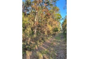 UNIVERSITY HIGHLANDS/ DELAND CROSSINGS, DELAND, FL 32724 - MLS#MFRV4947058