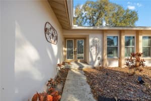 2843 OAK TREE LANE, PALM HARBOR, FL 34684 - MLS#MFRV4947063