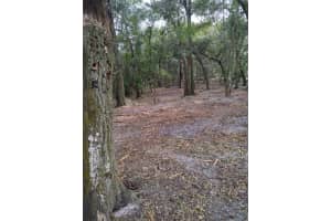 2ND ST, DELAND, FL 32720 - MLS#MFRV4947083