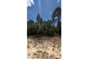 6818 WAYCROSS WAY, CITRUS SPRINGS, FL 34433 - MLS#MFRV4947228