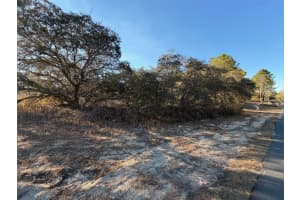 6818 WAYCROSS WAY, CITRUS SPRINGS, FL 34433 - MLS#MFRV4947228