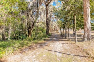 2095 STONE ROAD, DELAND, FL 32720 - MLS#MFRV4947257