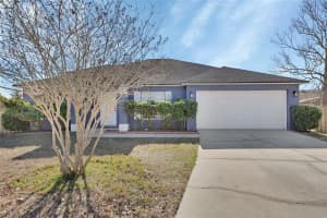 828 White Birch Ct, ORANGE CITY