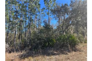 GRACE AVE, DELAND, FL 32720 - MLS#MFRV4947453