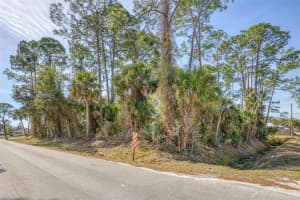 2904 INDIA PALM DRIVE, EDGEWATER, FL 32141 - MLS#MFRV4947500