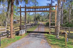 539 TABATHA DRIVE, OSTEEN, FL 32764 - MLS#MFRV4947521